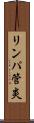 リンパ管炎 Scroll