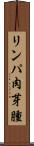 リンパ肉芽腫 Scroll