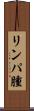 リンパ腫 Scroll