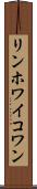 リンホワイコワン Scroll