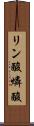 リン酸 Scroll