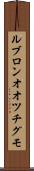 ルブロンオオツチグモ Scroll
