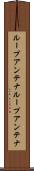 ループアンテナ Scroll
