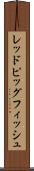 レッドピッグフィッシュ Scroll