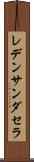 レデンサンダセラ Scroll
