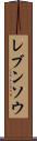 レブンソウ Scroll