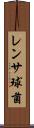 レンサ球菌 Scroll
