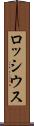ロッシウス Scroll