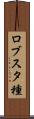 ロブスタ種 Scroll