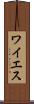 ワイエス Scroll