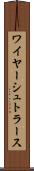 ワイヤーシュトラース Scroll