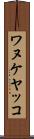 ワヌケヤッコ Scroll