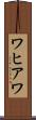 ワヒアワ Scroll