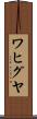 ワヒグヤ Scroll