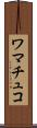 ワマチュコ Scroll