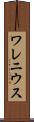 ワレニウス Scroll
