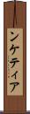 ンケティア Scroll