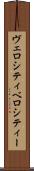 ヴェロシティ Scroll