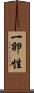 一卵性 Scroll