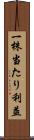 一株当たり利益 Scroll
