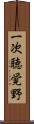 一次聴覚野 Scroll