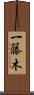 一籐木 Scroll