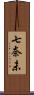七奈未 Scroll