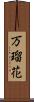 万瑠花 Scroll