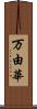 万由華 Scroll