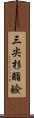 三尖杉酯鹼 Scroll