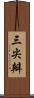 三尖瓣 Scroll
