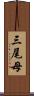 三尾母 Scroll