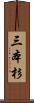 三本杉 Scroll