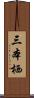 三本栖 Scroll