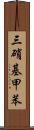 三硝基甲苯 Scroll