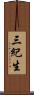 三紀生 Scroll
