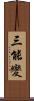 三能變 Scroll