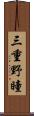三重野瞳 Scroll