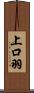 上口羽 Scroll