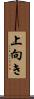 上向き Scroll