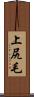 上尻毛 Scroll
