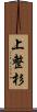 上整杉 Scroll