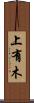 上有木 Scroll