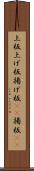 上板 Scroll