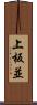 上板並 Scroll