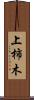 上柿木 Scroll