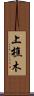 上樵木 Scroll