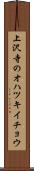上沢寺のオハツキイチョウ Scroll