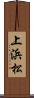 上浜松 Scroll
