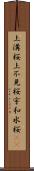 上溝桜 Scroll